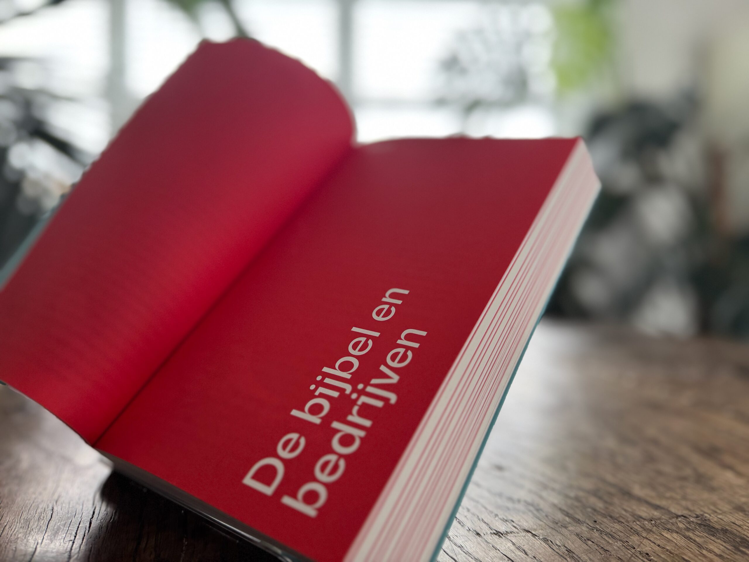 'A life- and world-changing book!' - Image 5