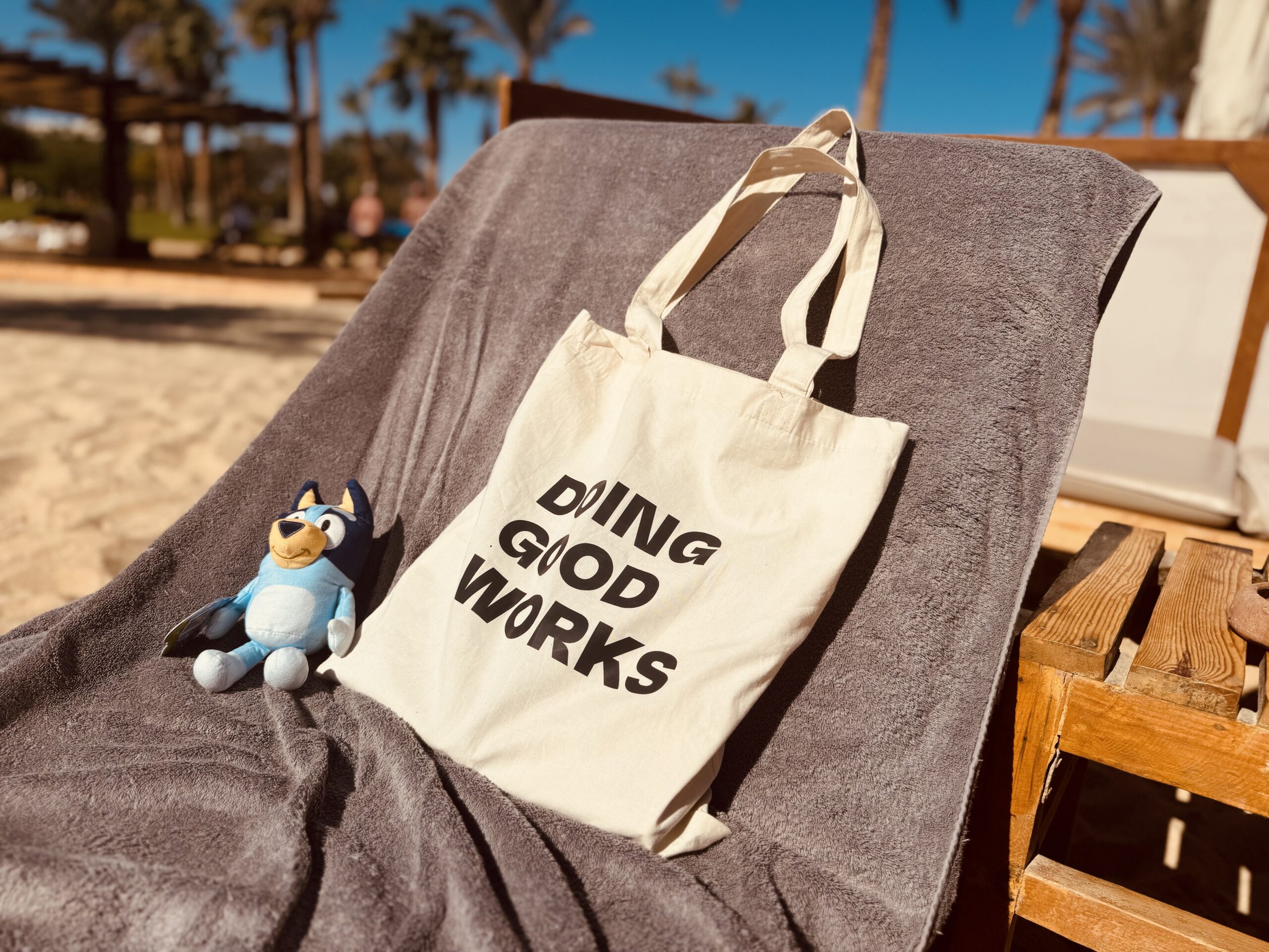 Doing Good Works Bag - Image 3